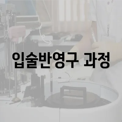 입술반영구 과정