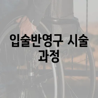 입술반영구 시술 과정