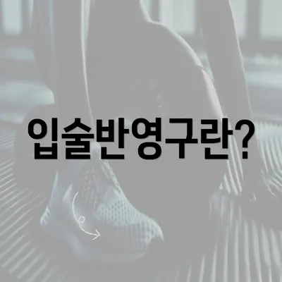 입술반영구란?