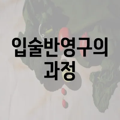 입술반영구의 과정