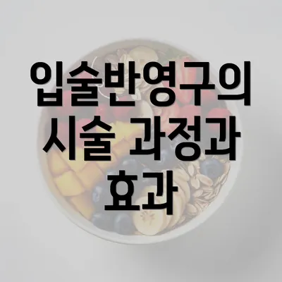 입술반영구의 시술 과정과 효과