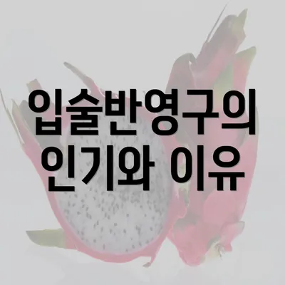 입술반영구의 인기와 이유