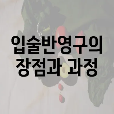 입술반영구의 장점과 과정