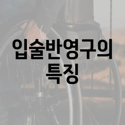 입술반영구의 특징