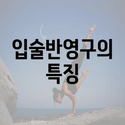 입술반영구의 특징