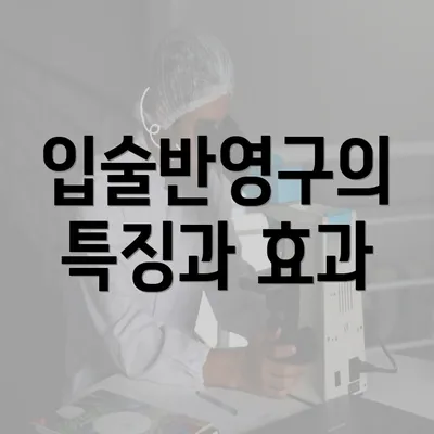 입술반영구의 특징과 효과