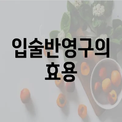 입술반영구의 효용