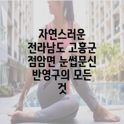 자연스러운 전라남도 고흥군 점암면 눈썹문신 반영구의 모든 것