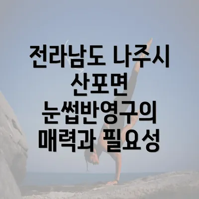 전라남도 나주시 산포면 눈썹반영구의 매력과 필요성