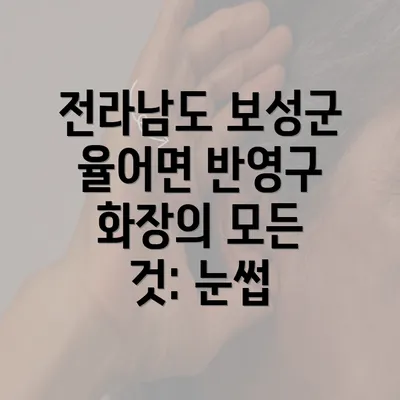 전라남도 보성군 율어면 반영구 화장의 모든 것: 눈썹