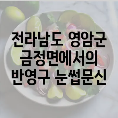 전라남도 영암군 금정면에서의 반영구 눈썹문신