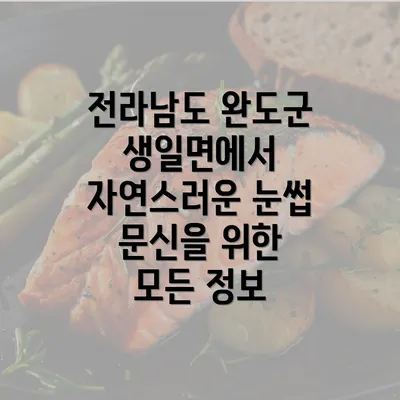 전라남도 완도군 생일면에서 자연스러운 눈썹 문신을 위한 모든 정보