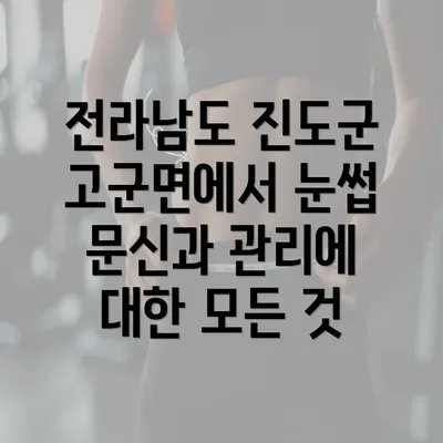 전라남도 진도군 고군면에서 눈썹 문신 현황