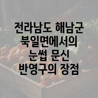 전라남도 해남군 북일면에서의 눈썹 문신 반영구의 장점