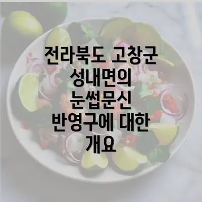 전라북도 고창군 성내면의 눈썹문신 반영구에 대한 개요