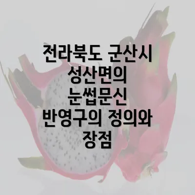 전라북도 군산시 성산면의 눈썹문신 반영구의 정의와 장점