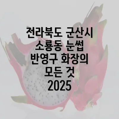 전라북도 군산시 소룡동 눈썹 반영구 화장의 모든 것 2025