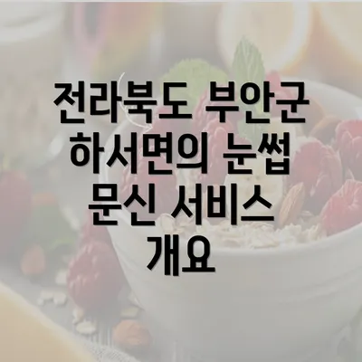 전라북도 부안군 하서면의 눈썹 문신 서비스 개요