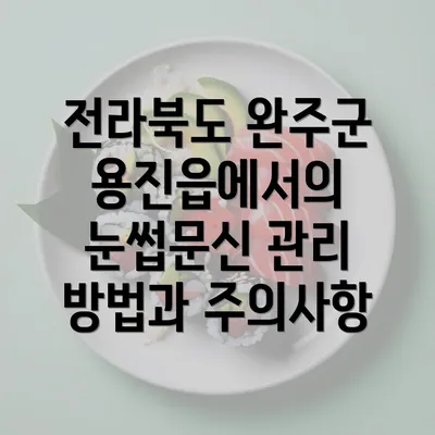 전라북도 완주군 용진읍에서의 눈썹문신 관리 방법과 주의사항