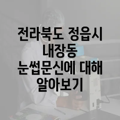 전라북도 정읍시 내장동 눈썹문신에 대해 알아보기