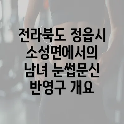 전라북도 정읍시 소성면에서의 남녀 눈썹문신 반영구 관리 및 가격 안내