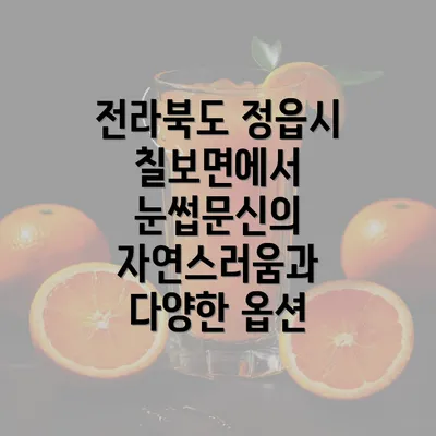 전라북도 정읍시 칠보면에서 눈썹문신의 자연스러움과 다양한 옵션