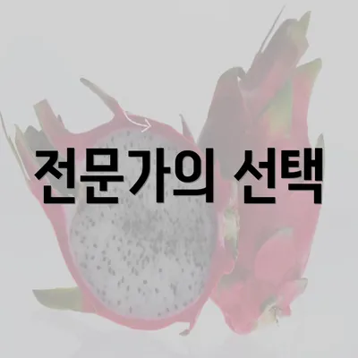 전문가의 선택