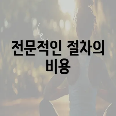 전문적인 절차의 비용