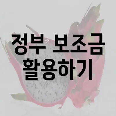 정부 보조금 활용하기