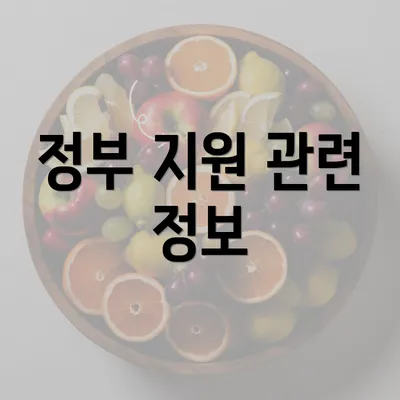 정부 지원 관련 정보