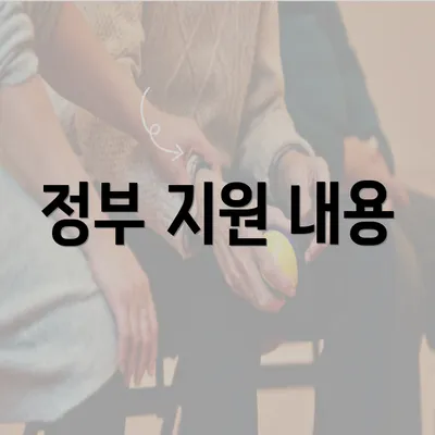 정부 지원 내용