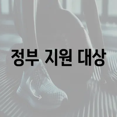 정부 지원 대상