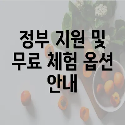 정부 지원 및 무료 체험 옵션 안내