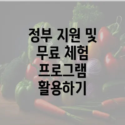 정부 지원 및 무료 체험 프로그램 활용하기