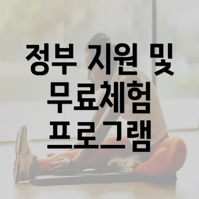 정부 지원 및 무료체험 프로그램