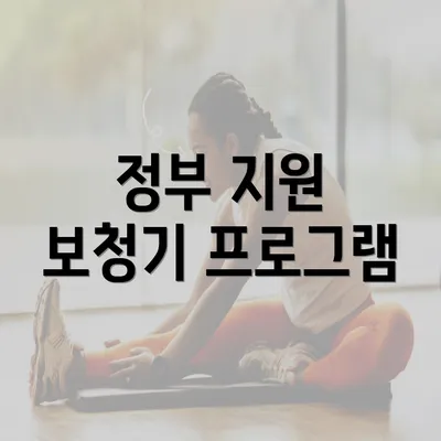 정부 지원 보청기 프로그램