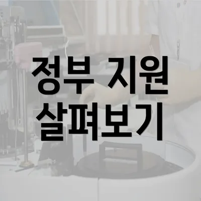 정부 지원 살펴보기