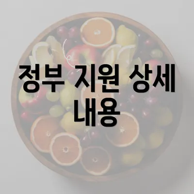 정부 지원 상세 내용