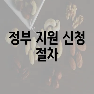 정부 지원 신청 절차