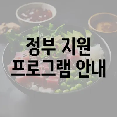 정부 지원 프로그램 안내