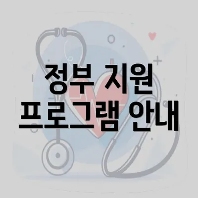 정부 지원 프로그램 안내