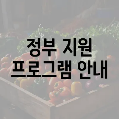 정부 지원 프로그램 안내