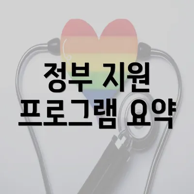 정부 지원 프로그램 요약