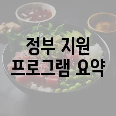 정부 지원 프로그램 요약