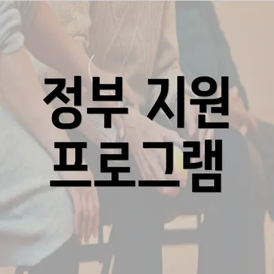 정부 지원 프로그램