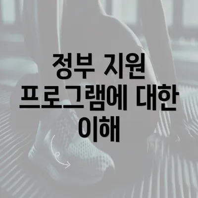 정부 지원 프로그램에 대한 이해