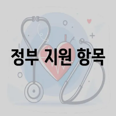 정부 지원 항목