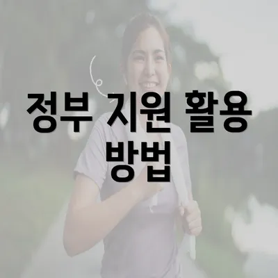 정부 지원 활용 방법