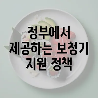 정부에서 제공하는 보청기 지원 정책