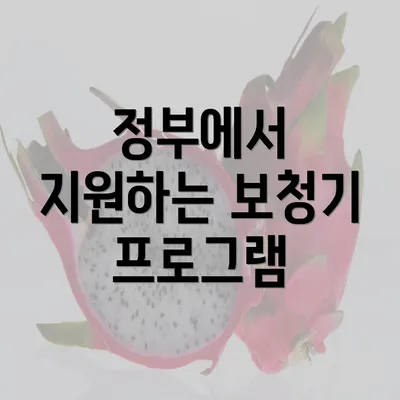 정부에서 지원하는 보청기 프로그램